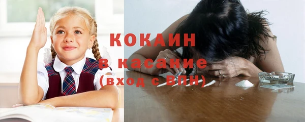 твердый Верхний Тагил