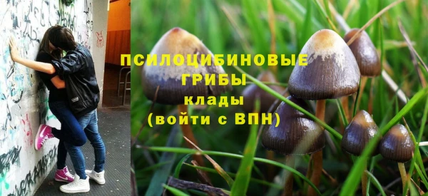 твердый Верхний Тагил