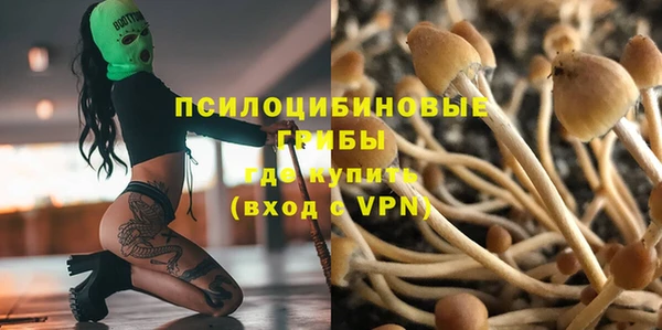 твердый Верхний Тагил